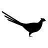 The Pheasant Hotel
