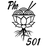 PHO 501
