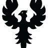 Phoenix Energy Services Inc.