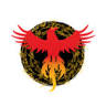 Phoenix Fitness & Martial Arts