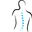 PhysioFit Jacqueline Hartl