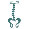 PhysioFit of NC - Physical Therapy, Pilates & Yoga Studio in Wake Forest, NC