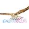 Physiotherapie Falkenflug