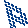 Petzinna