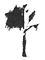 Piers Laverty Professional Tree Services