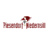Badesee Niedernsill