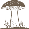 Waldviertler Pilzgarten
