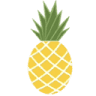 Pineapple Bliss NWA