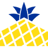 Pineapple Roofing
