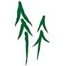 Pine Country Bank