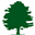 Pine Crafter Furniture