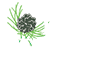 Pine Needle Dry Goods