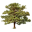 Pine Oaks Golf Course