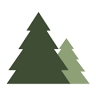 Pine Tree Accounting Services