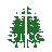 Pine Tree Church of Christ