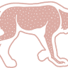 Pink Coyote Dessert Co.
