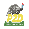 Pintade de Dapaong
