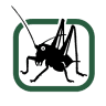 Pirnango GmbH & Co. KG