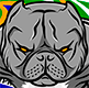 Canil PITBULLY - Pitbull e American Bully