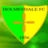 Holmesdale Football Club