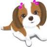 PittaPatta Dog Boutique