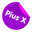 School Pius X