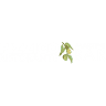 Pizzico