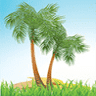 Planet Ayurveda Distributor Chhattisgarh