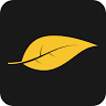 Plant Access Pty. Ltd. / Bilotto Group