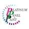 Platinum Panel & Paint