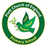 Platt Church Of England Primary School
