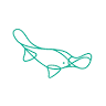 Platypus Coworking Ballarat
