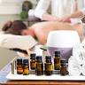 The Sanctuary Holistic Healing Center,LLC