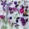 Plukjebloemen