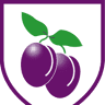 Plumcroft Primary School