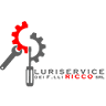 Pluriservice dei F.lli Ricco Srl