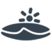 Port Macquarie Animal Shelter