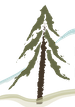 PNW Insurance Group, LLC