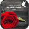 Pompes Funèbres Buisson Penaud - Place Voltaire - Astreinte Décès 24H/7J