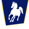 New England Mustang Supply