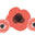 Poppy and Polka Dot Boutique