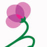 Poppy Shop - Negozio di Scarpe per Bambini