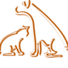 Dover Animal Hospital