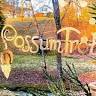 Possum Trot Lodging