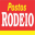 Auto Posto Rodeio