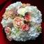 Pot of Green Florist