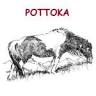 Pottoka