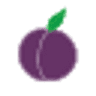 Plum Pretty Consignment