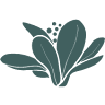 Sage Yoga Studio