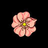 Prairie Rose Wellness and Beauty Norman